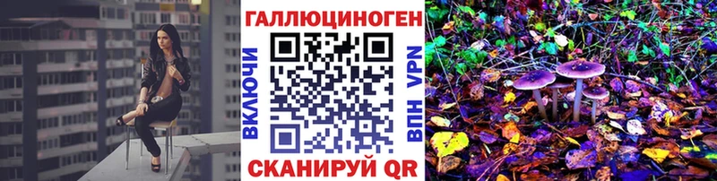 Псилоцибиновые грибы Cubensis Берёзовка