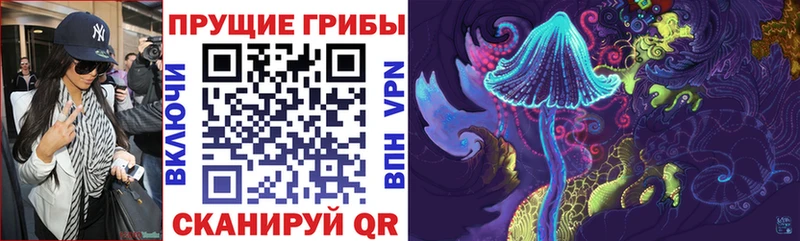 Псилоцибиновые грибы Magic Shrooms  Берёзовка 